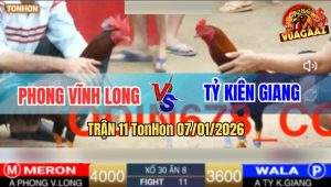 TRAN 11 TonHon 07012026