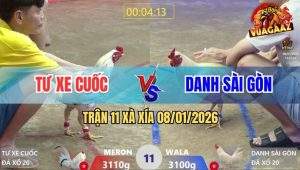 Trận 11 Xà Xía 8/1/2026 - Bướm Hiệu Anh Nu Đâm Úa Không Kịp Nhấc Chân