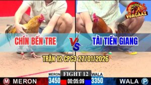 Trận 12 CPC3 27/1/2026 - Khét Nạp Tốc Độ, Xin Gà Cú 1 Giò Nhanh Gọn