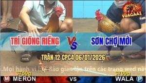 Trận 12 CPC4 6/1/2026 - Khét Anh Trí Vô Ẩu Dính Chân Hiểm Hết Đường Về