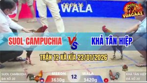 Trận 12 Xà Xía 23/1/2026 - Gà Điều Anh Suol Campuchia Có Chân Xạo Lờ