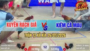 Trận 12 Xà Xía 26/1/2026 - Anh Kiểm Cà Mau Thất Thủ Trước Anh Xuyên