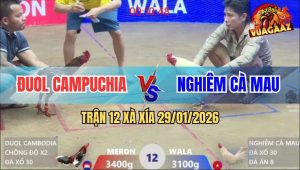 Trận 12 Xà Xía 29/1/2026 - Úa Anh Kiểm Hạ Knock Out Xanh Bồng Chồng Độ