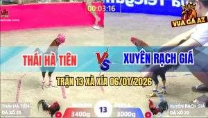 Trận 13 Xà Xía 6/1/2026 - Anh Kẻm Thả Gà Kém 4 Chấm, Đá Điều Đi Bụi