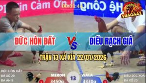 Trận 13 Xà Xía 22/1/2026 - Gà Chuối Đâm Que Chân Nào Ăn Tiền Chân Đó