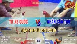 Trận 14 Xà Xía 13/1/2026 - Úa Đâm Điều Tơi Bời Xong Quay Xe Chạy