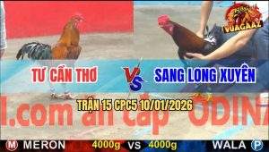 Trận 15 CPC5 10/1/2026 - Điều Đuôi Lao Ngoại Hạng Đá Xanh Khỏi Tha Lơ