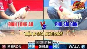 Trận 16 CPC3 4/1/2026 - Anh Phú Sài Gòn Đi 3 Con Cúng Cặp Rưỡi