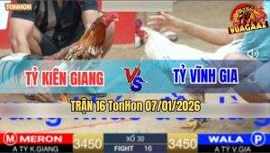 Trận 16 TonHon 7/1/2026 - Bướm Anh Tỷ Đâm Khét Bông Dỡ Giò Không Nổi