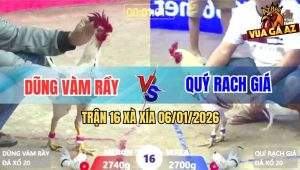 Trận 16 Xà Xía 6/1/2026 - Bướm Anh Dũng Siết Đúng Chân Xanh Gãy Giò