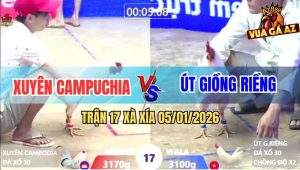 Trận 17 Xà Xía 5/1/2026 - Úa Anh Út Chồng Độ Đá Bướm Tắt Điện Nằm Đống