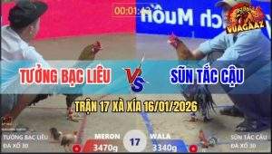 Trận 17 Xà Xía 16/1/2026 - Xám Đá Như Chẻ Tre, Cú Thốn Tới Óc Bung Bồ