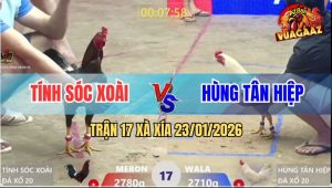 Trận 17 Xà Xía 23/1/2026 - Úa Dí Bạc Cho Cố, Điều Đâm 1 Cây Tắt Thở