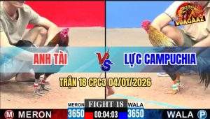 Trận 18 CPC3 4/1/2026 - Gà Xám Anh Lực Có Chân Xạo Lờ Phản Ăn 2
