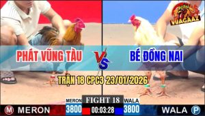 Trận 18 CPC3 23/1/2026 - Bướm Đá Vô Lưng, Khét Gục Ngã Trong Đau Đớn