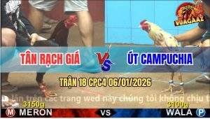 Trận 18 CPC4 6/1/2026 - Đám Bướm Cánh Campuchia Đá Bo Như Búa Bổ