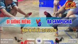 Trận 18 Xà Xía 12/1/2025 - Cú Kêu Điều Tuyệt Mạng Trong Một Nốt Nhạc