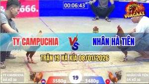 Trận 19 Xà Xía 8/1/2026 - Khét Xanh Đá Như Súng Bắn Hạ Gà Khét Anh Nu