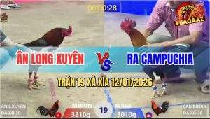 Trận 19 Xà Xía 12/1/2025 - Điều Đỏ Đá Quá Ác Khiến Xanh Nằm Bại Liệt