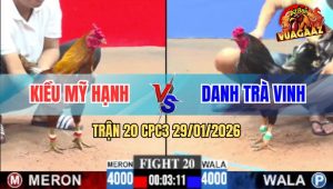 Trận 20 CPC3 29/1/2026 - Gà Khét Anh Kiều Đá Ô Ướt Anh Danh Gãy Cổ