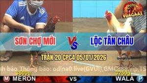 Trận 20 CPC4 5/1/2026 - Bướm Anh Lộc Đâm Như Cái Máy, Phế Cánh Gà Điều