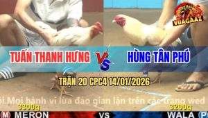 Trận 20 CPC4 14/1/2026 - Úa Dí Ăn 5, Bướm Vả Đúng 1 Phát Nằm Đống