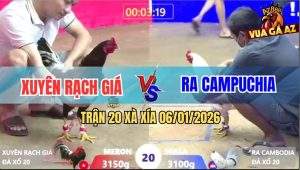 Trận 20 Xà Xía 6/1/2026 - Que Cọp Anh Xuyên Đâm Bướm Té Lên Té Xuống