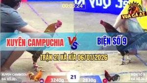 Trận 21 Xà Xía 6/1/2026 - Que Mẻ Hiệu Anh Kẽm Đâm Điều Chạy Kêu Trời