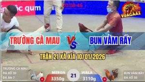 Trận 21 Xà Xía 10/1/2026 - Vô Kính Vàng Bông Sợ Máu Bung Chạy