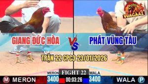 Trận 22 CPC3 23/1/2026 - Gà Khét Ăn Nguyên ComBo Lưng Và Cần Chạy Chết