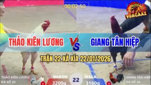 Trận 22 Xà Xía 22/1/2026 - Điều Tung Cước Tử Thần Tiễn Bướm Đi Mau Lẹ