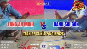 Trận 22 Xà Xía 24/1/2026 - Xanh Vô Đúng 1 Cây, Đưa Anh Em Về Bờ Rực Rỡ