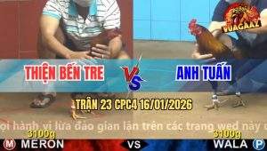 Trận 23 CPC4 16/1/2026 - Điều Chân Xanh Canh Chặn Hay Đâm Đỏ Tắt Thở