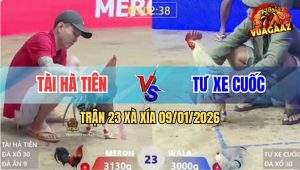 Trận 23 Xà Xía 9/1/2026 - Bướm Anh Tư Quá Khôn Điều Vô Không Được Chạy