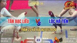 Trận 23 Xà Xía 16/1/2026 - Vàng Tích Vôi Có Chân Xạo Lờ Phản Ăn 2