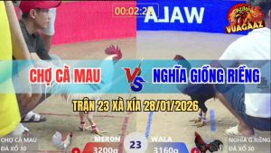 Trận 23 Xà Xía 28/1/2026 - Vô Kính Điều Đá Bo Trời Đánh Úa Chạy Bay Bồ