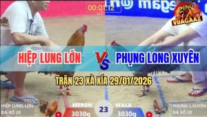 Trận 23 Xà Xía 29/1/2026 - Xám Anh Phụng Đá Cây Lưng Khét Té Nhào Đầu