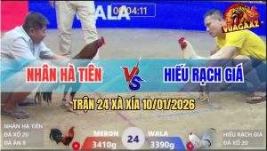 Trận 24 Xà Xía 10/1/2026 - Bướm Chân Xanh Đá Điều Banh Cuống Họng