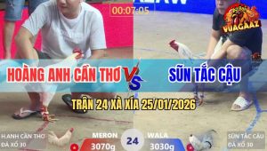 Trận 24 Xà Xía 25/1/2026 - Phút 90 Bướm Đuối Sức, Úa Nắm Đầu Gãy Cỗ