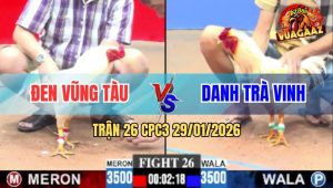 Trận 26 CPC3 29/1/2026 - Úa Anh Đâm Úa Má Minh Ói Cơm Nằm Đống