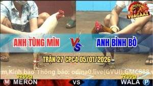 Trận 27 CPC4 5/1/2026 - Bướm Anh Tùng Mìn Đá Gà Xám Bò Lê Bò Lết
