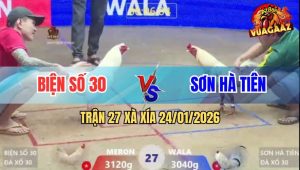 Trận 27 Xà Xía 24/1/2026 - Vô Kính Úa Đâm Bướm Nằm Co Giật Tại Chỗ