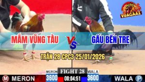 Trận 28 CPC3 25/1/2026 - Gà Điều Anh Mắm Chặn Đúng Chân Que Nằm Đống