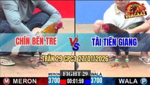 Trận 29 CPC3 27/1/2026 - Anh Chín Bến Tre Đụng Độ Anh Tài Tiền Giang