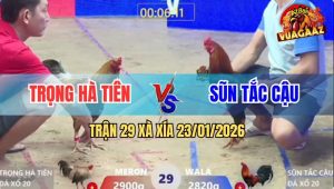 Trận 29 Xà Xía 23/1/2026 - Điều Cuốn Vô Đâm Cú Bể Hộp Số Chạy La Miệng