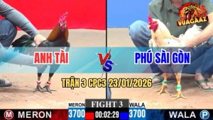 Trận 3 CPC3 23/1/2026 - Điều Chạm Chân Một, Bướm Liệt Vị Đứng Hết Nổi