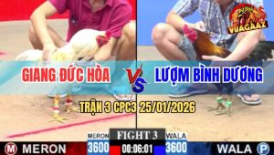 Trận 3 CPC3 25/1/2026 - Gà Anh Giang Đức Hòa Vô Đá 2 Chân Bay Bồ