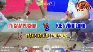 Trận 3 Xà Xía 22/1/2026 - Gà Cú Đâm Ngay Nách Bướm Ói Máu Bỏ Chạy