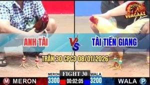 Trận 30 CPC3 8/1/2026 - Gà Điều Còn 1 Giò Phản 5 Lai, Biện Đi Bán Muối
