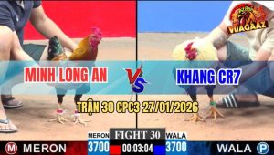 Trận 30 CPC3 27/1/2026 - Que Đá Quá Áp Đảo, Chuối Lọt Chân Chết Tươi